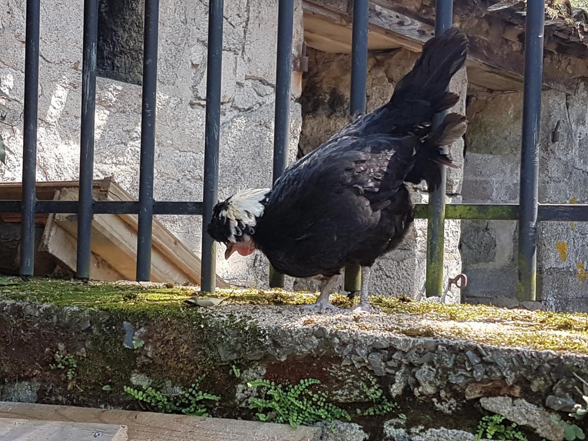 Le Moulin De Charin Bed and Breakfast La Pommeraie-sur-Sèvre Εξωτερικό φωτογραφία