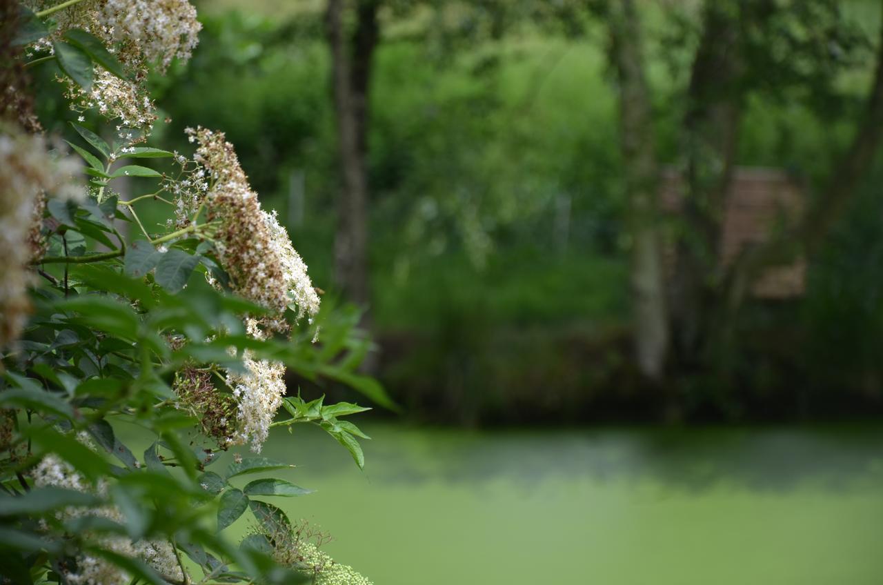 Le Moulin De Charin Bed and Breakfast La Pommeraie-sur-Sèvre Εξωτερικό φωτογραφία